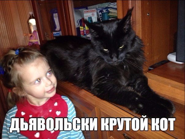 Мохнатые беспредельщики