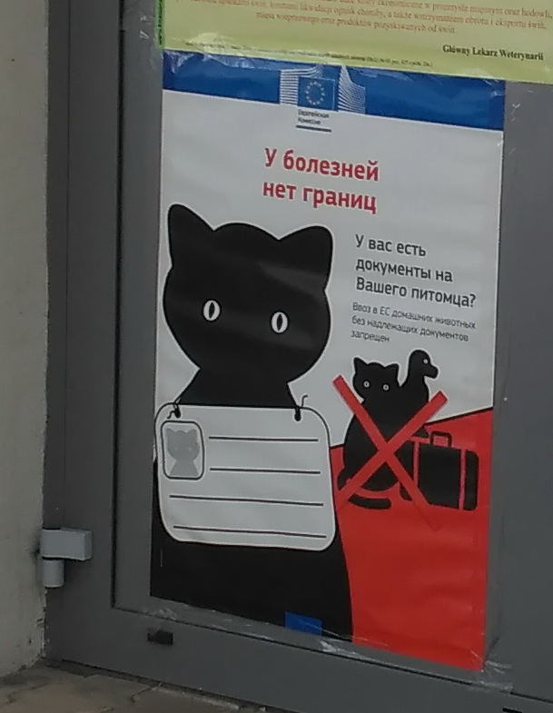 Подборка интересных и смешных картинок