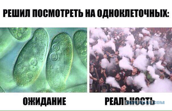 Парю где хочу