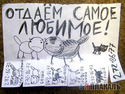 ОБЪЯВЛЕНИЯ. На стенах, в газетах, афиши.