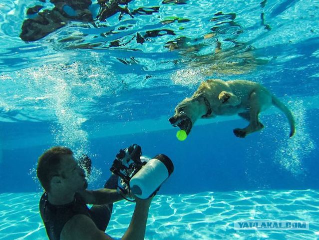 Вот как на самом деле получают красивые фотографии