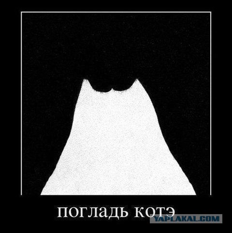 Смешные картинки с надписями