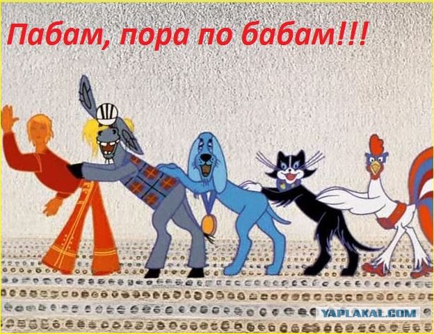 Дурацкие картинки