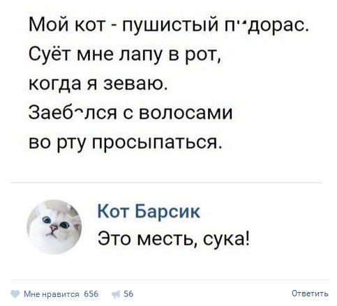 Ужасы и приколы из соцсетей 18+