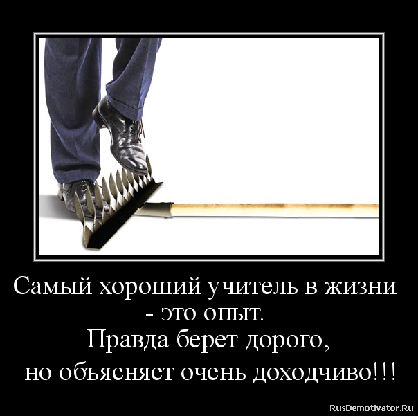"Котоламповая" быль о привратностях судьбы...