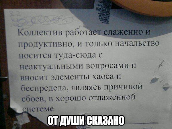 Смешные комментарии из социальных сетей 13.01.2017