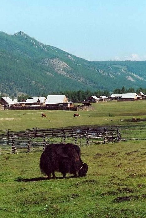 Подборка разного из сети