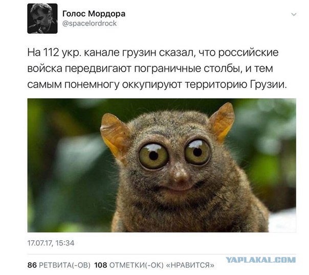 Смешные комментарии из социальных сетей 21.07.2017