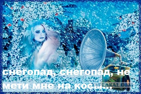 Жизнь как она есть 2