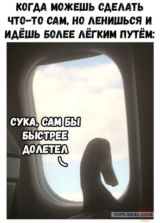 Юмор не для тех...