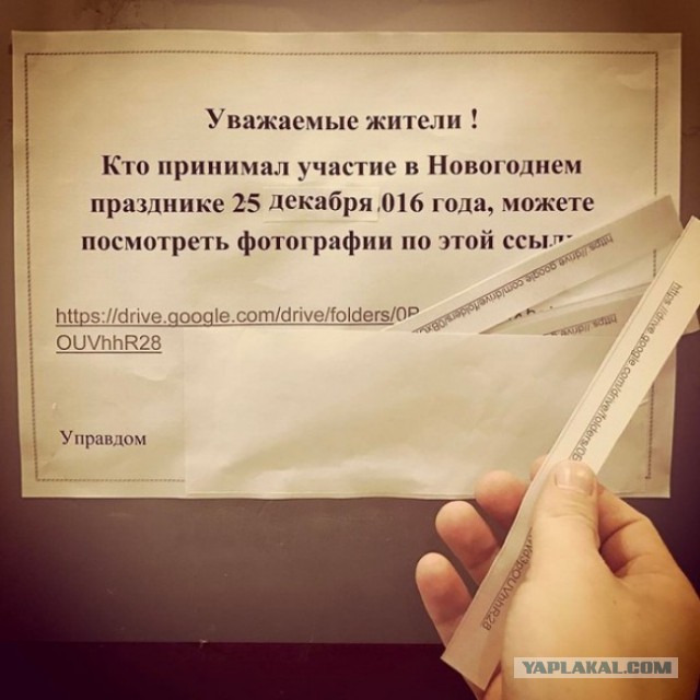 30 объявлений, мимо которых вы просто не сможете пройти