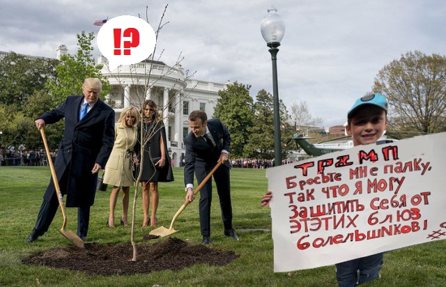 Сажающие дерево Трамп и Макрон превратились в мем