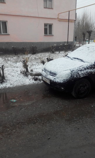 Поделитесь весной