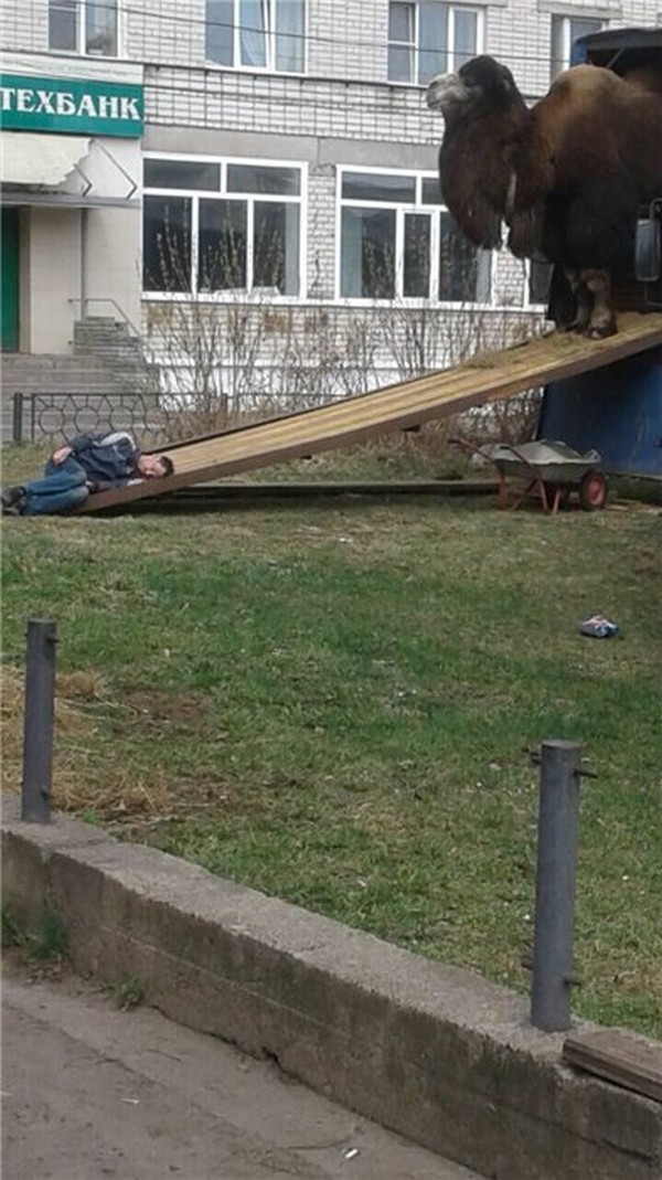 Удивительные снимки с российских просторов