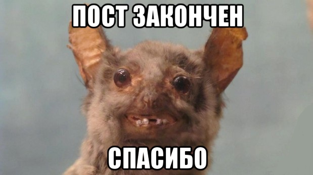 25 картинок в эту чёрную пятницу