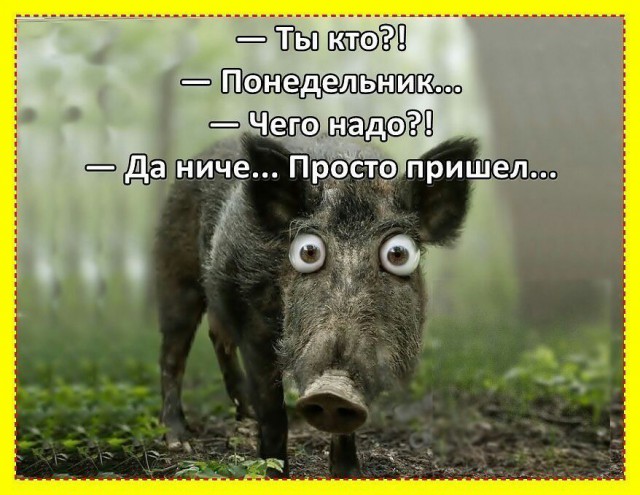 Оооп! Всё обо всём по порядку на предстоящую неделю