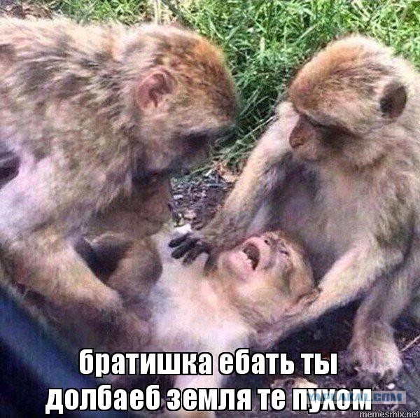 Импульсивно купил телефон за 100 usd