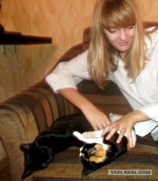Котовторник 1.11.11