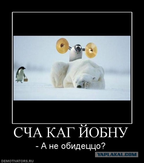 Охота началась: В Челябинске «охотники на геев» едва не убили московского бьюти-блогера.