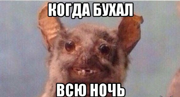 31 первый километр