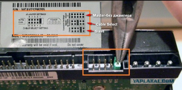 Перемычка Для Жесткого Диска Купить