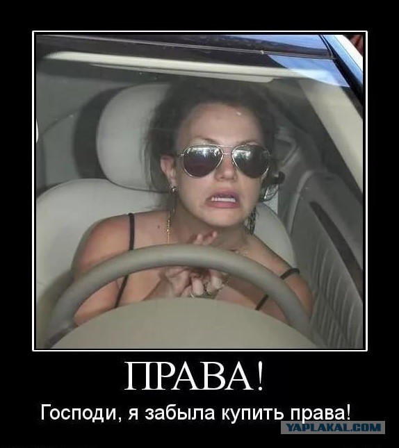 "Зимний" развал-схождение