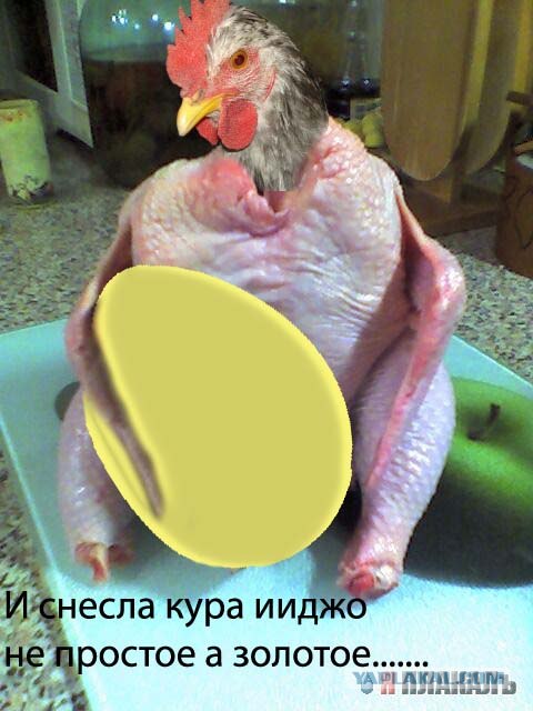 Фотожаба на пятницу