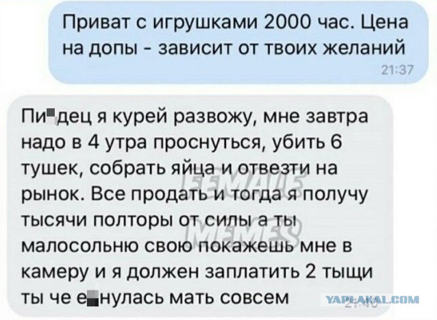 Забавные шутки, картинки и фразы из этих ваших интернетов