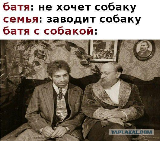 Баянисто-небаянистый юмор. 7.10.20.