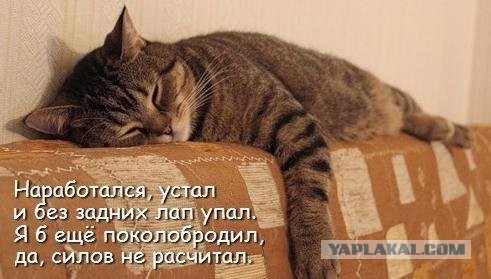 Высказывания об усталости прикольные. Мемы про усталость. Устала картинки прикольные. Уставший от жизни человек. Усталость.