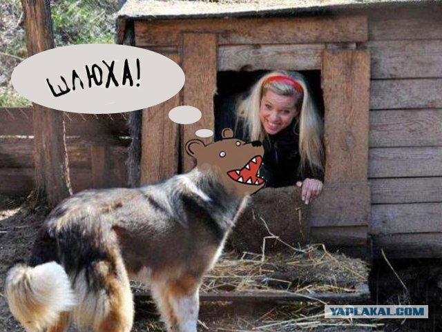 Фотожаба: Собака с Девушкой