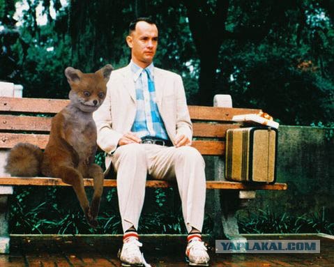 Таксидермия + наркомания