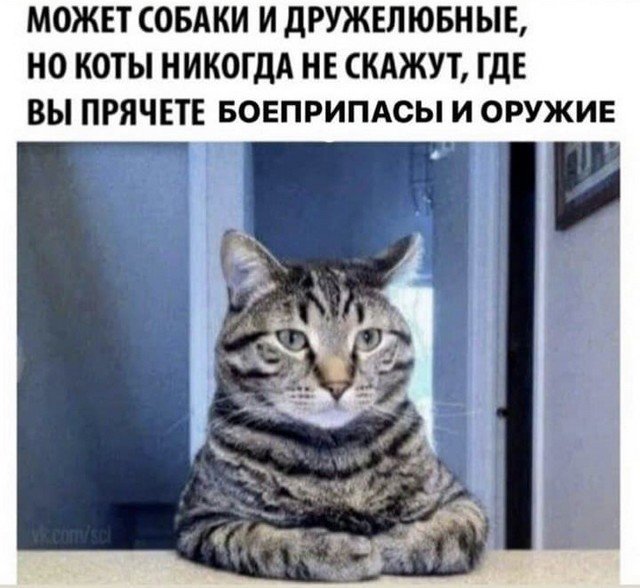 Картинки и мемы для настроения 024