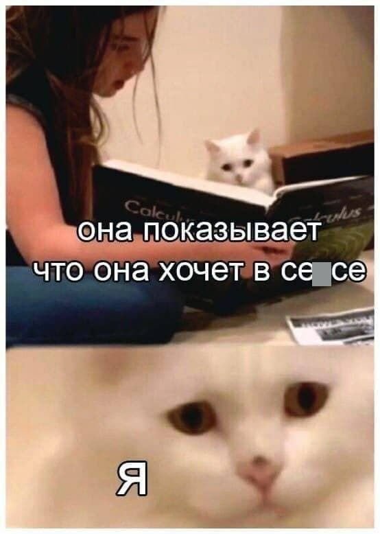 Картинки и мемы для настроения 023