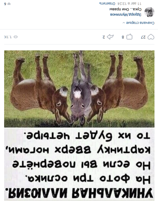 Боян на Бояне...