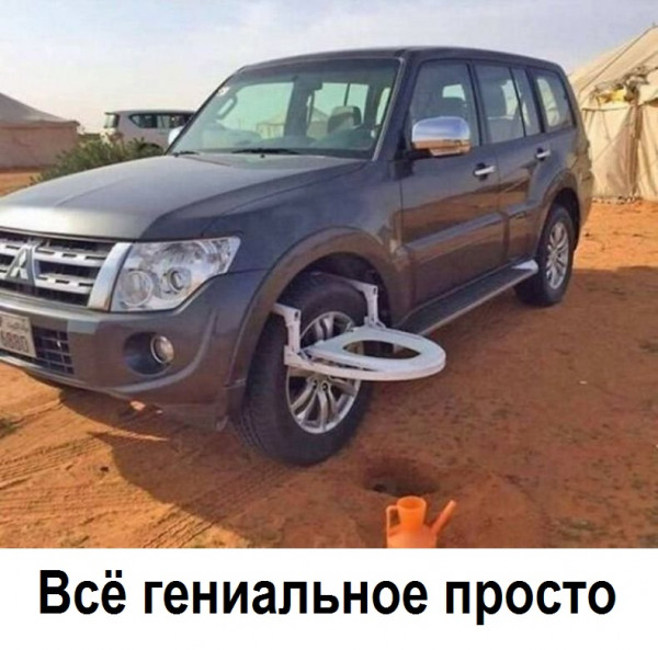 Всяческие картинки 03.12.2021