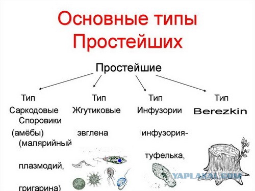 Часть российского контингента ОДКБ в Казахстане грузится в самолёты для возвращения в РФ