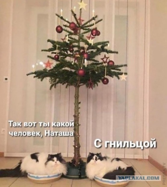 Ну хозяин, тебе это выйдет боком...