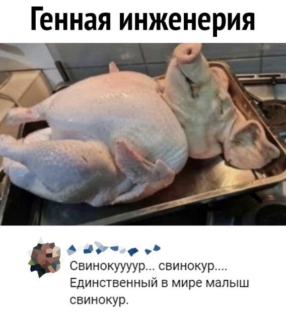Картинки и буквы 11.03.22