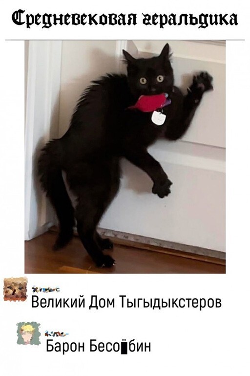 Баянисто-небаянистый юмор 30.03.22