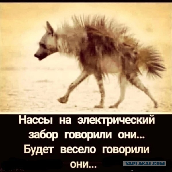Дети - это весело, говорили они