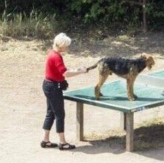 Будни теннисного стола