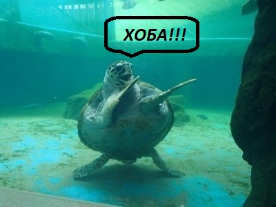 Необычные картинки 30.09.2022