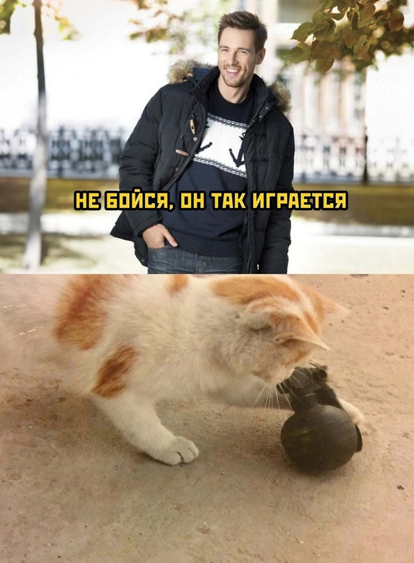 Весёлый полтишок 12.10.22