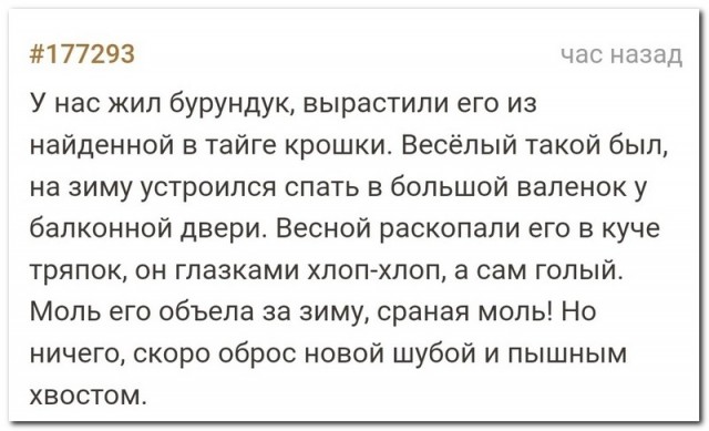 Картинки и мемы. Выходные близко...