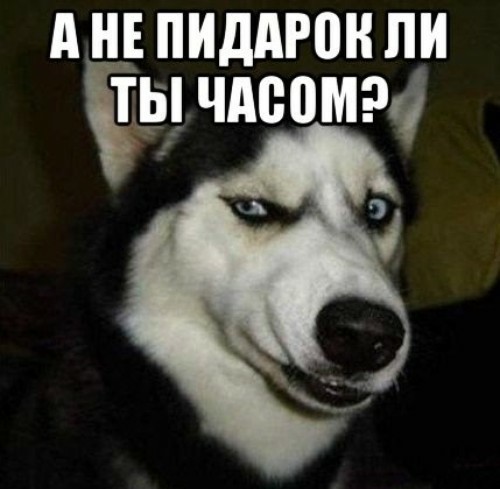 Россиянку, которая неоднократно критиковала РФ, депортируют из США