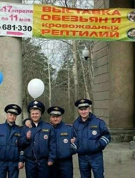 Так себе картинки 22.02.23