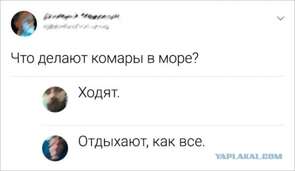 Так себе картинки 15.04.23