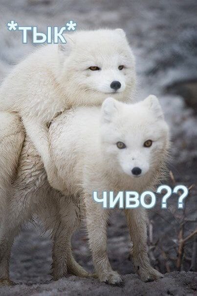 Всего понемногу. От 26.04.23
