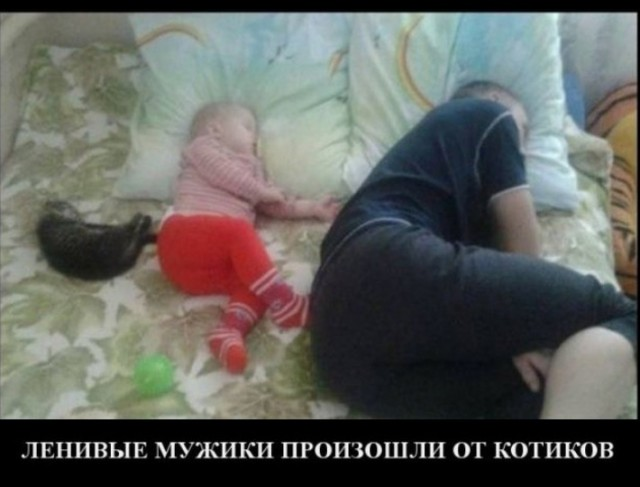 Жизнь домашнего приюта "Котоленд" 416